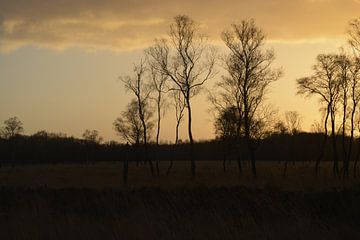 Nationaal park De Groote Peel van Hans Janssen