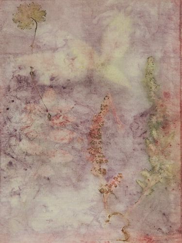 Ecoprint van zuring bloempluimen