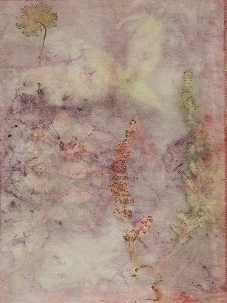 Ecoprint of sorrel flower panicles by Liesbeth Bulk