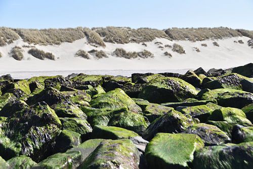 Ameland