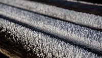 Morning frost