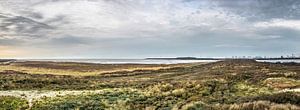 Panorama Oostvoorne