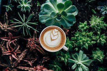 Coffee art cappuccino by Jan Bechtum