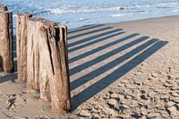 Zeeuwse kust