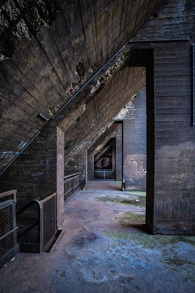 See-through by Marian van der Kallen Fotografie