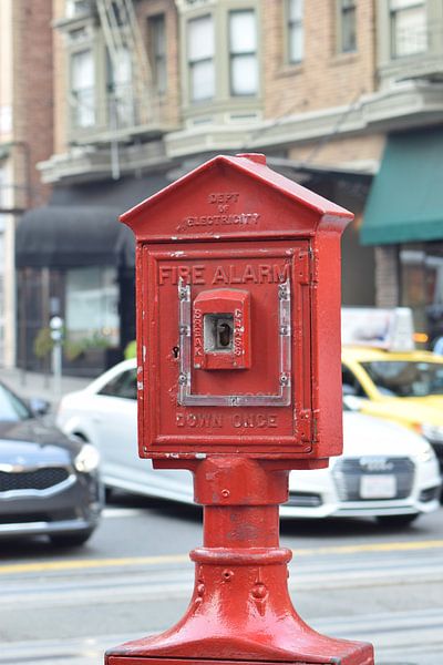 Fire Alarm van Nancy Robinson