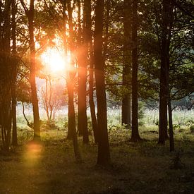 Sonnenaufgang von Marinella Geerts