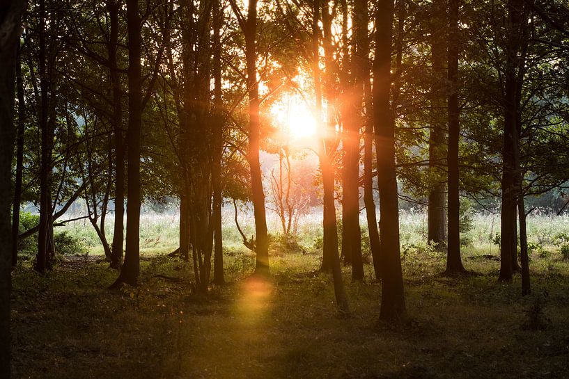 Sonnenaufgang von Marinella Geerts