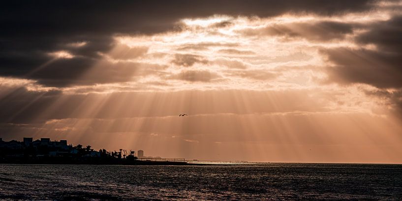 Sunray 2 van Nuance Beeld