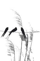 Schwächlinge an einer Leine