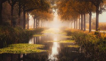 Herfst in Friesland bontebok van Claudia De Vries