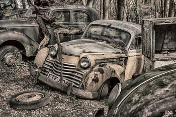Oldtimer auf einem Autofriedhof