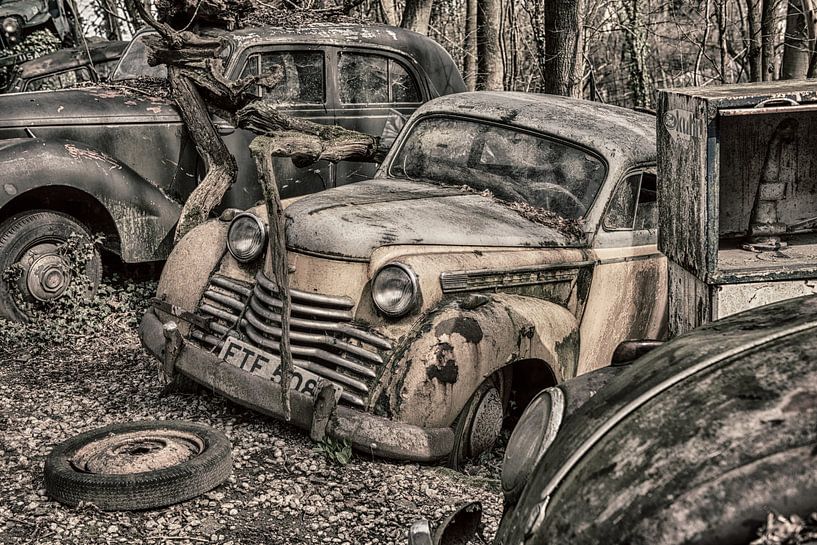 Oldtimers op een auto kerkhof van Elles Rijsdijk