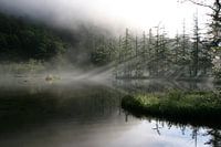 Early morning Japan mist 3