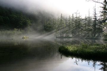 Early morning Japan mist 3 van Esther Ehren