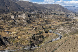 Colca-Schlucht, Peru