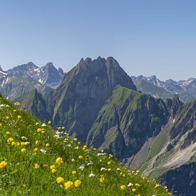 Frühling in den Allgäuer Alpen – Blick zur Höfats von Walter G. Allgöwer
