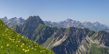 Frühling in den Allgäuer Alpen – Blick zur Höfats