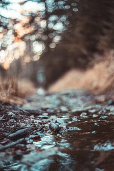 De schoonheid van de natuur