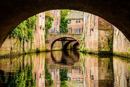 De Binnendieze in 's-Hertogenbosch