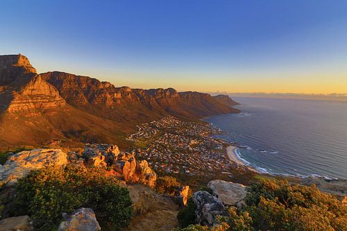 Clifton Sunset Lionshead