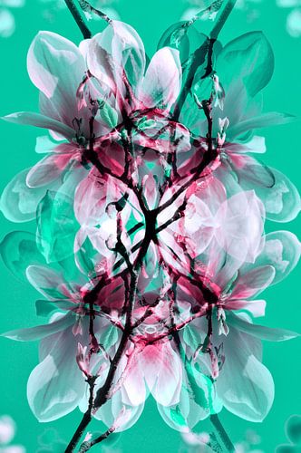 Lente-impressie met magnolia's in zachtgroen