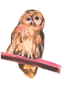 Illustration d'oiseau spécial hibou sur Angela Peters