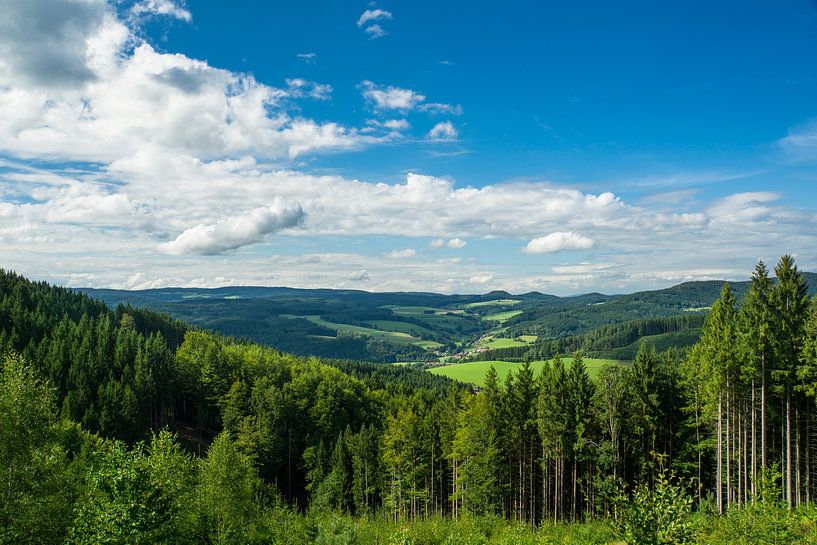 Vue panoramique à l'infini sur un paysage de forêt noire avec ciel bleu par adventure-photos