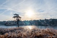 Mittwintersonne