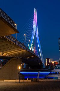 Sous le pont Erasmus sur Gerry van Roosmalen