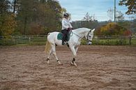 Training met het witte paard op een rijbak in de herfst van Babetts Bildergalerie thumbnail