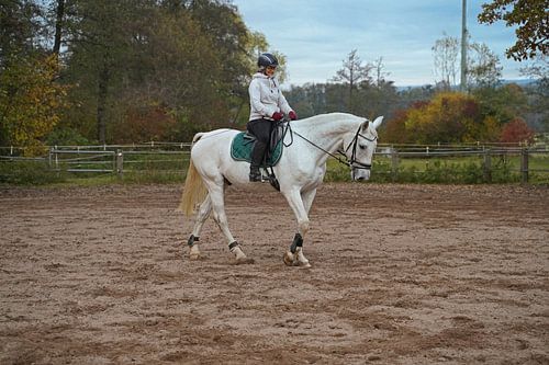 Training met het witte paard op een rijbak in de herfst