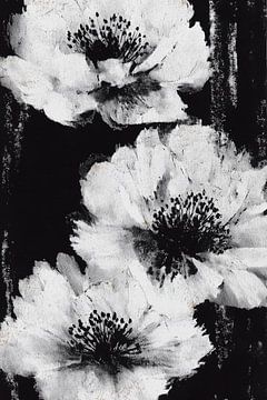 Witte bloemen op zwarte achtergrond van Chromatic Storm Studio