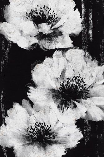 Witte bloemen op zwarte achtergrond