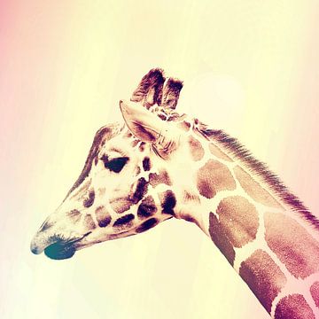 De Giraffe van Didden Art