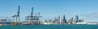 Auckland Harbour panorama by Richard Wareham thumbnail