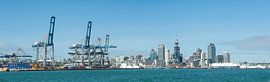 Auckland Haven panorama