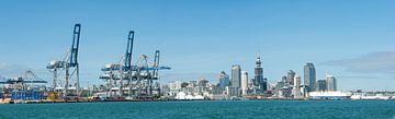 Auckland Haven panorama van Richard Wareham