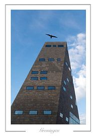 Groningen forum by Richard Wareham