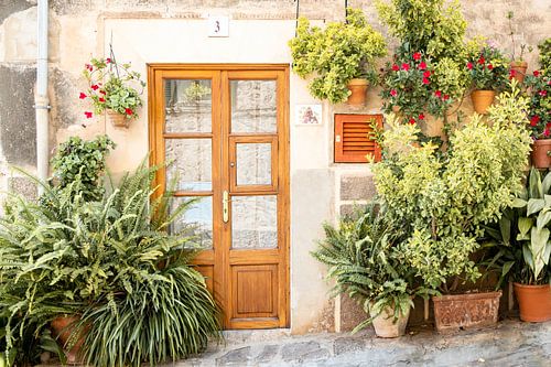 Urban Jungle in de straten van Valldemossa