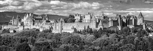 Panorama van de stad Carcassonne in Frankrijk