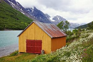 Sommer am Kjosenfjord