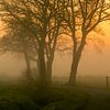 Fietspad Onlanden Nietap in de mist tijdens zonsopkomst van R Smallenbroek