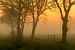 Fietspad Onlanden Nietap in de mist tijdens zonsopkomst van R Smallenbroek