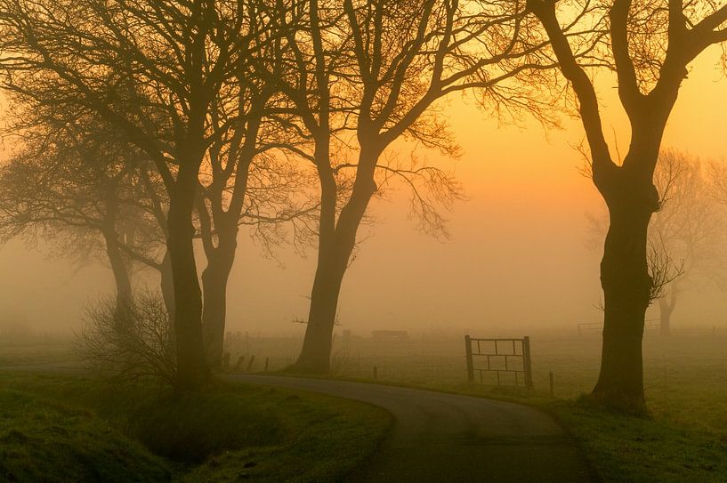 Cycle path Onlanden Nietap in the fog during sunrise by R Smallenbroek