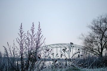 Winter Waalbrücke von Bastiaan Buurman