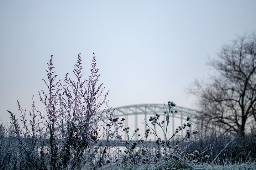 Winter Waal bridge by Bastiaan Buurman