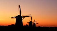 Les trois moulins à vent de Leidschendam par Dirk Jan Kralt Aperçu