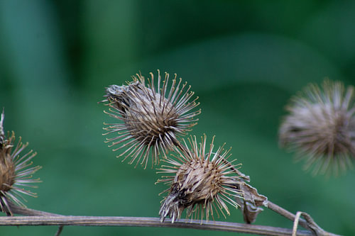 La beauté de la nature