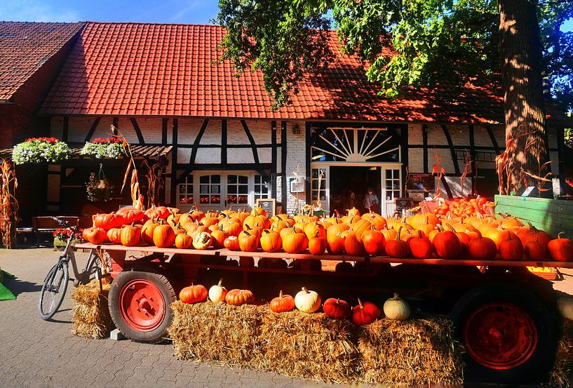 Heinense koerspanorama van Edgar Schermaul